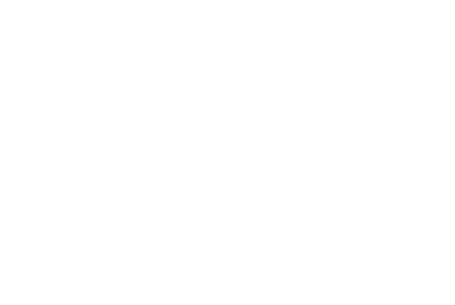 KLM logo